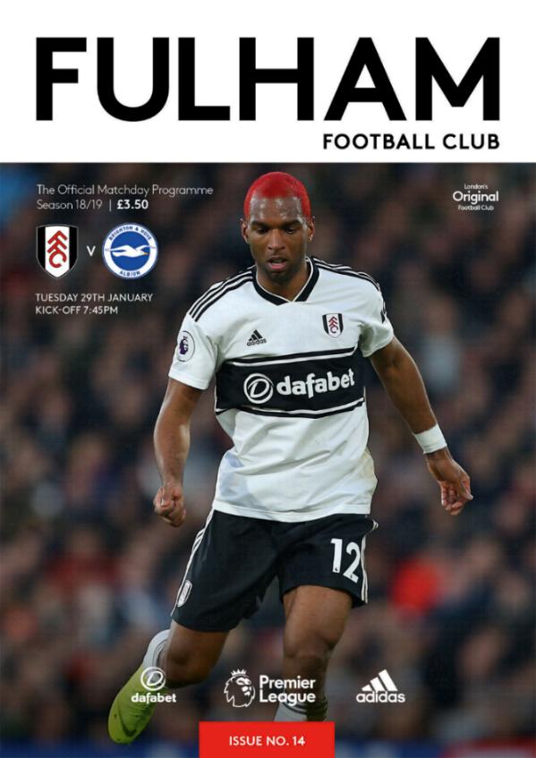 FULHAM v BRIGHTON 2018/19